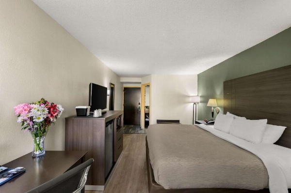 Quality Inn & Suites North Little Rock image 18